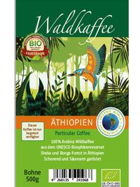 Waldkaffee Sheka Forest Bonga Forest Äthopien
